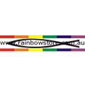 Fish Bumper Rainbow Sticker Adhesive Lesbian Gay Pride