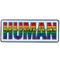 Rainbow HUMAN Black Border Bar Lapel Badge Pin Gay Lesbian Pride
