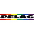 PFLAG Bumper Rainbow Sticker Adhesive Gay Lesbian Pride