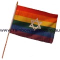 Rainbow Star Of David Flag On Stick Screened 12 inch by 18 inch Gay Lesbian Pride