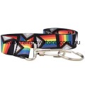 Progress Pride Lanyard With Clip And Ring