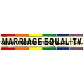 Marriage Equality Rainbow Lapel Pin Lesbian Gay Pride