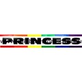 Princess Bumper Rainbow Sticker Adhesive Gay Lesbian Pride