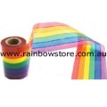 Rainbow SCENE Opaque Plastic Ribbon Tape 8cm by 15.25 metres Gay Lesbian Pride