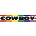 Rainbow Cowboy Bumper Sticker Adhesive Gay Pride