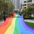 Rainbow Flag Polyester Street Parade 3 metre x 10 metre Gay Lesbian Pride