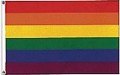 Rainbow Flag Nylon 16 inch by 24 inch Gay Lesbian Pride