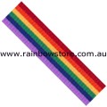 Rainbow Deluxe Grosgrain Ribbon Both Sides 2.4cm by 1 metre Gay Lesbian Pride