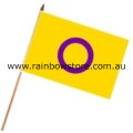 Intersex Flag On Wood Stick Handwaver Polyester 12 inch by 18 inch Intersex Pride